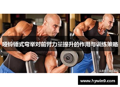 哑铃锤式弯举对前臂力量提升的作用与训练策略
